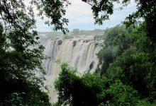 Photo of Zambia received ‘debt-for-nature’ proposal from WWF for restructuring