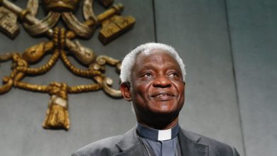 Photo of ‘I pray a lot against’ becoming Pope… – Cardinal Peter Turkson jokes
