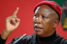 Photo of South Africa: Parliament suspends Malema, other MPs for a month