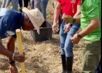 Ghana gifts Trinidad and Tobago 10,000 yam seeds