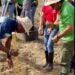 Ghana gifts Trinidad and Tobago 10,000 yam seeds