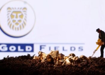 Gold Fields share price drops after government rejected renewal of its mining lease