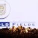 Gold Fields share price drops after government rejected renewal of its mining lease