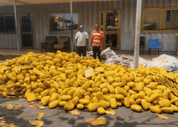 Police intercept truck carrying over 3,000 slabs of suspected narcotics; two arrested for bribery