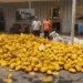 Police intercept truck carrying over 3,000 slabs of suspected narcotics; two arrested for bribery