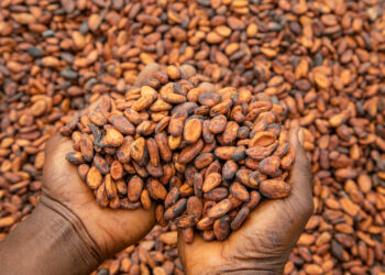 ICU, GAWU support cocoa reforms but kick against pay reductions