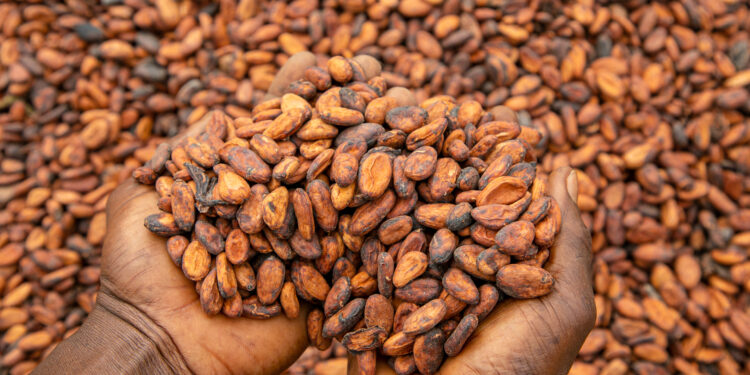ICU, GAWU support cocoa reforms but kick against pay reductions