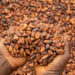Cocoa Spiritfm Online ICU, GAWU support cocoa reforms but kick against pay reductions