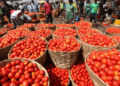 Ghana targets up to 300,000 metric tonnes of dry season tomatoes in 3 years – Dumelo