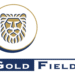 Gold Fields says 74% of Tarkwa Mine’s value stays in Ghana
