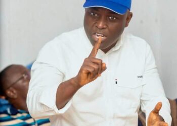 I am open to work with everyone to win 2028 — Bawumia
