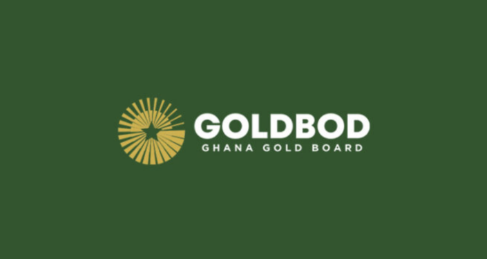 ‘The gains are not durable’ – Prof Bokpin warns over Ghana’s gold-driven stability
