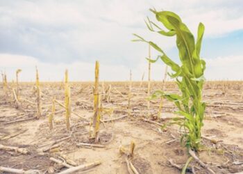 crop Spiritfm Online Climate-vulnerable countries spend nearly 25 times more on debt than climate action – ActionAid report